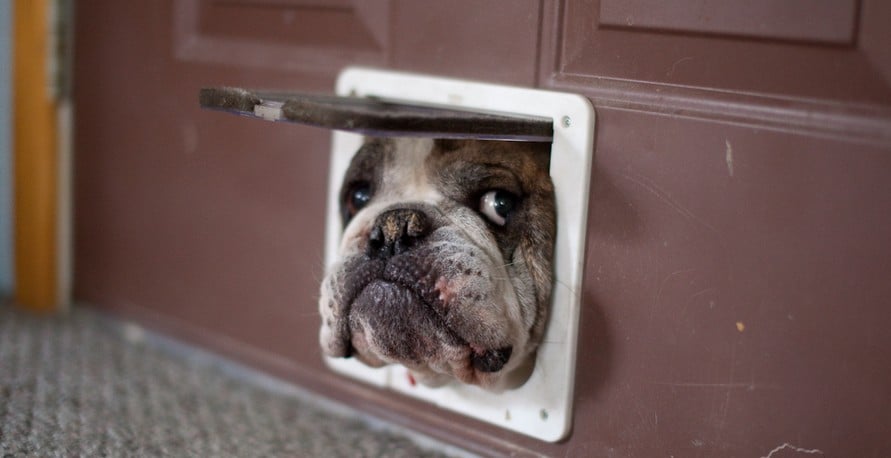 Doggie door